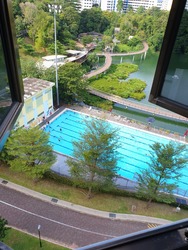 Blk 543 Jelapang Road (Bukit Panjang), HDB Executive #205534371